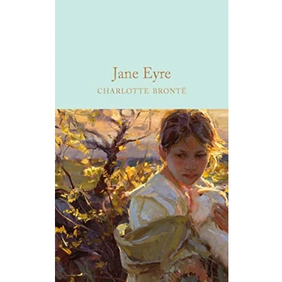 Bild av Jane Eyre (Vintage Classics Bronte Series): Charlotte