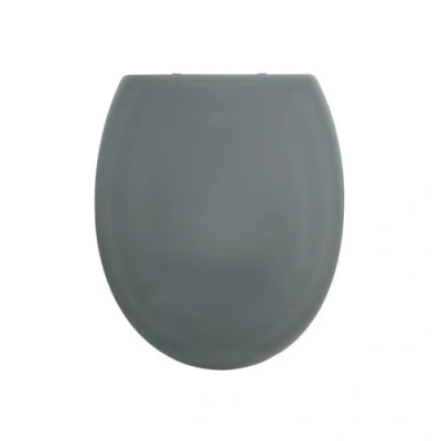 Bild av spirella toalettlock oval med quick release funktion och automatisk sänkning. Antibakteriella toalettglasögon av termoplast rostfritt stål avtagbara antracit