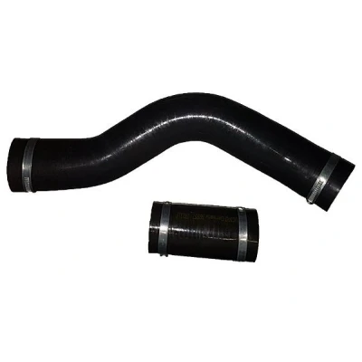 Bild av BUGIAD 88557 Gaine De Suralimentation avec colliers DACIA: Sandero I, Logan I MCV, Berline
