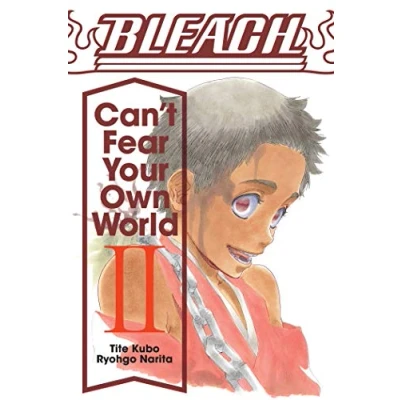 Bild av Bleach: Can&#039;t Fear Your Own World, Vol. 2
