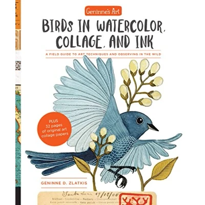 Bild av Geninne&#039;s Art: Birds in Watercolor, Collage, and Ink: A field guide to art techniques observing the wild