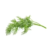 Bild av Click &amp; Grow and Smart Garden Refill 3 pack Dill