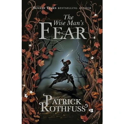 Bild av The Wise Man&#039;s Fear: Kingkiller Chronicle: Book 2