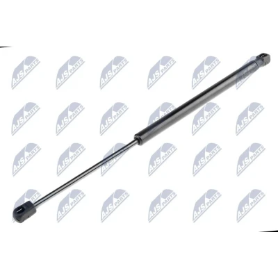 Bild av NTY AE CT 014 Vérin de coffre 420 445 CITROËN: C3 I 3/5 portes