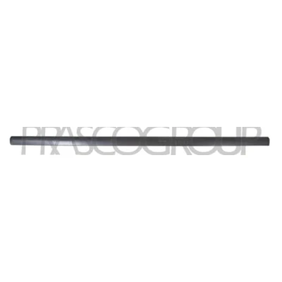 Bild av PRASCO RN9541416 Baguette et bande protectrice, panneau latérale RENAULT: MASTER 3 Kasten, Bus,