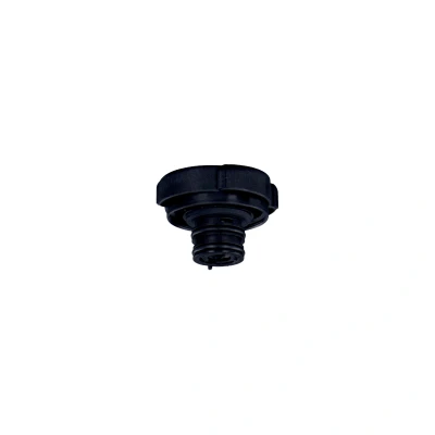Bild av FEBI BILSTEIN 01617 Bouchon, réservoir de liquide refroidissement 2 BMW: Z3 Roadster, Z4 3 Cabriolet, LAND ROVER: Range Rover oscaro,