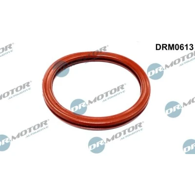 Bild av DR.MOTOR AUTOMOTIVE DRM0613 Joint Collecteur d&#039;Admission RENAULT: CLIO 2, Kangoo I, MEGANE 1, DACIA: Logan I MCV, Sandero Berline