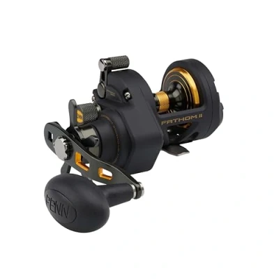 Bild av Penn Fathom II Star Drag multirulle 12