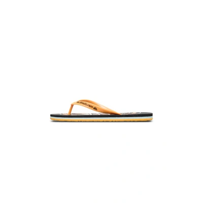 Bild av Quiksilver Molokai Screen Tåsandaler, Storlek: 44, Bky Konstmaterial