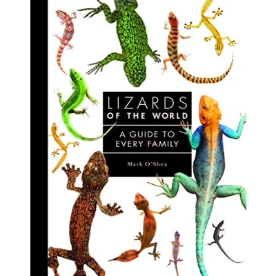 Bild av Lizards of the World: A Guide to Every Family