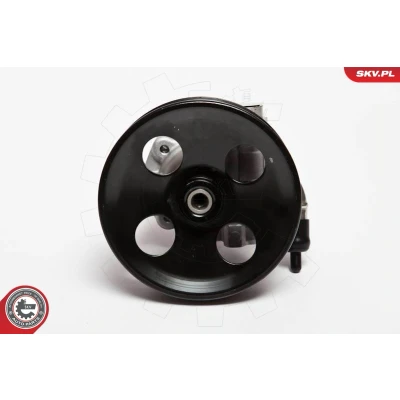 Bild av Servopump, ford fiesta v, van fusion, mazda 2, 1325147, 1416165, 1755033, 2S6C3A696DA, 2S6C3A696DC, 2S6C3A696DD, 4330726, DD59