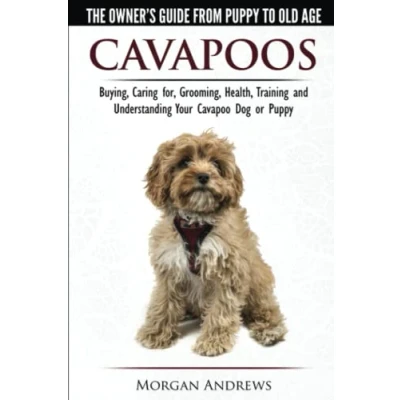 Bild av Cavapoos The Owner&#039;s Guide From Puppy To Old Age Buying, Caring for, Grooming, Health, Training and Understanding Your Cavapoo Dog or