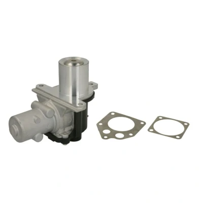 Bild av WAHLER 710928D/1 Vanne EGR électrique avec joints RENAULT: Kangoo I Express, CLIO 3, SCENIC 2, NISSAN: Qashqai / Qashqai+2 I, MICRA Note