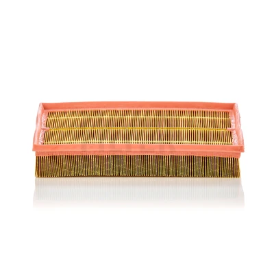 Bild av Luftfilter MANN FILTER C 33 189