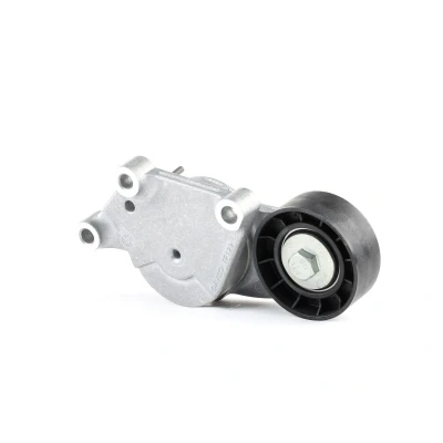 Bild av DAYCO APV3221 Galet Tendeur PEUGEOT: 308 I 3/5 portes, 208 SW, CITROËN: C3 II, DS3 3 Picasso, MINI: Clubman