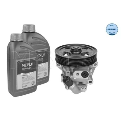 Bild av MEYLE 714 631 0029/S Pompe De Direction Assistée hydraulique avec quantité d&#039;huile pour rinçage à l&#039;huile FORD: S Max Mk1, MONDEO 4, Galaxy Mk2 MPV