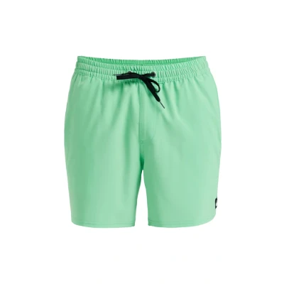 Bild av Quiksilver Solid Surfshorts, Storlek: XL, Ggj