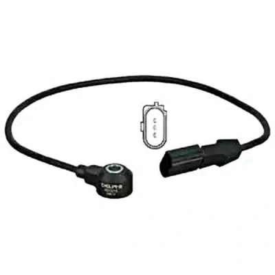 Bild av DELPHI AS10215 Capteur de cognement AUDI: A4 B5 Berline, B7 Avant, VOLKSWAGEN: Passat GP Break, SEAT: Exeo Berline