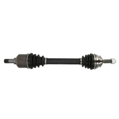 Bild av Drivaxel PASCAL G2C124PC