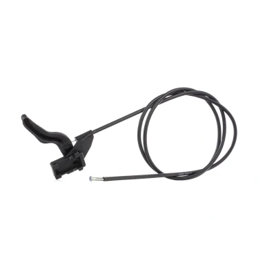 Bild av LINEX 32.40.03 Tirette de capot moteur OPEL: Vectra C CC, Astra G Coupe, F CC