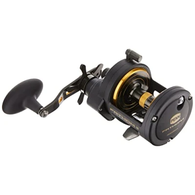Bild av Penn Fathom II Star Drag multirulle 30