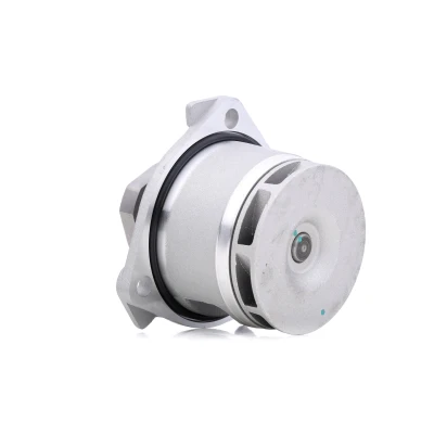Bild av Vattenpump DENCKERMANN A310103P