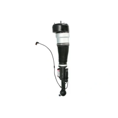 Bild av Luftfjäderben MAGNUM TECHNOLOGY APM021MT