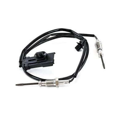 Bild av Sensor, avgastemperatur DELPHI TS30347 12B1