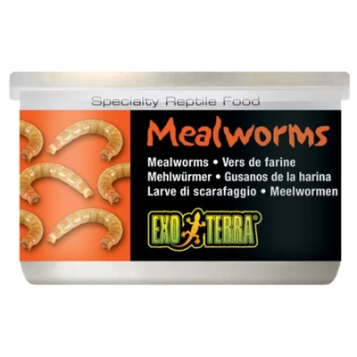 Bild av Exo Terra Mealworms Mjölmask 34 g