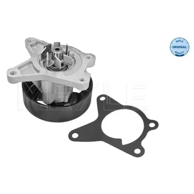 Bild av Vattenpump, nissan,renault, 210103596R, 7701065345, B1010 1GZ0A, EN20B, ET00A