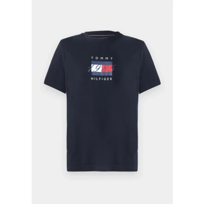 Bild av Tommy Hilfiger Linear FLAG Graphic TEE Unisex Tshirt med print, Storlek: XS, Desert sky