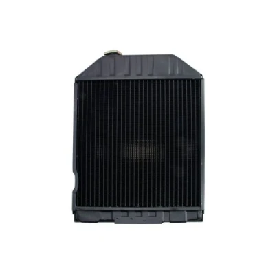 Bild av Kylare, motorkylning THERMOTEC D7AG063TT