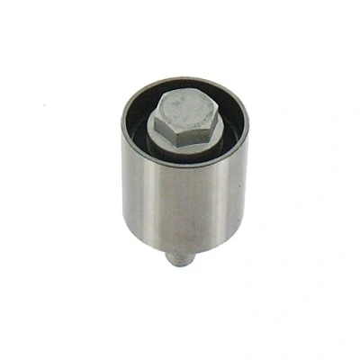 Bild av SKF VKM 25124 Poulie renvoi/transmission, courroie de distribution OPEL: Insignia A Sports Tourer, 3/5 portes, Astra J 5 portes oscaro,