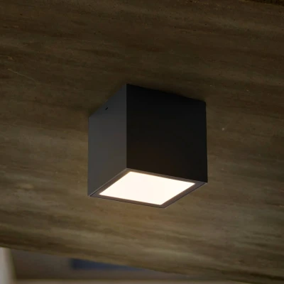 Bild av LUTEC LED utomhustaklampa Gemini XS, 4 000 K antracit