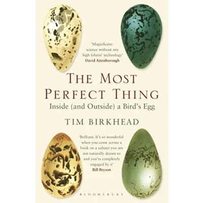 Bild av The Most Perfect Thing: Inside (and Outside) a Bird’s Egg