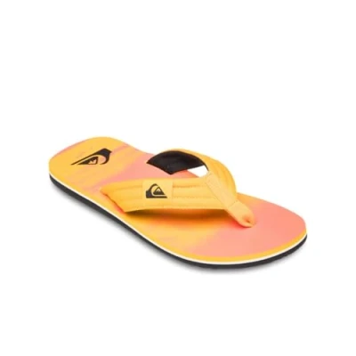 Bild av Quiksilver Molokai Layback Tåsandaler, Storlek: 46, Mkz Bomull