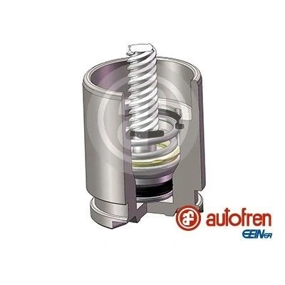 Bild av Kolv, bromsok AUTOFREN SEINSA D025780K