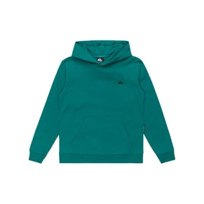 Bild av Quiksilver pojke basic huvtröja ungdom pullover tröja (förpackning med 1)