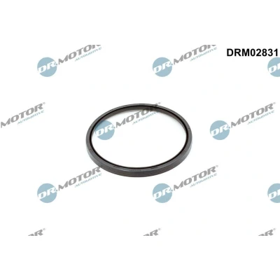Bild av DR.MOTOR AUTOMOTIVE DRM02831 Joint Spi de Vilebrequin du côté boîte vitesses VOLVO: V50, V70 2, XC60 I