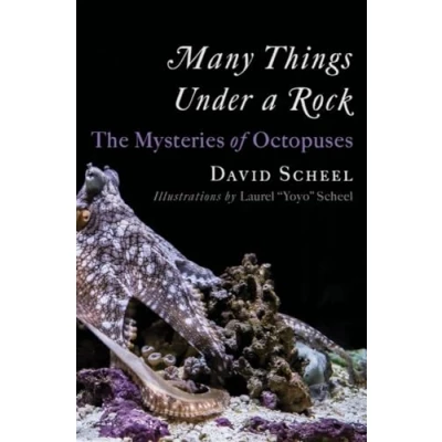 Bild av Many Things Under a Rock: The Mysteries of Octopuses