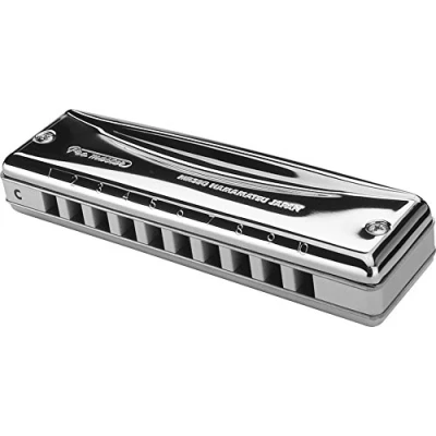 Bild av Suzuki Pro Master Diatonic munspel i D