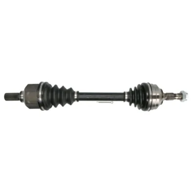 Bild av Drivaxel PASCAL G2P062PC