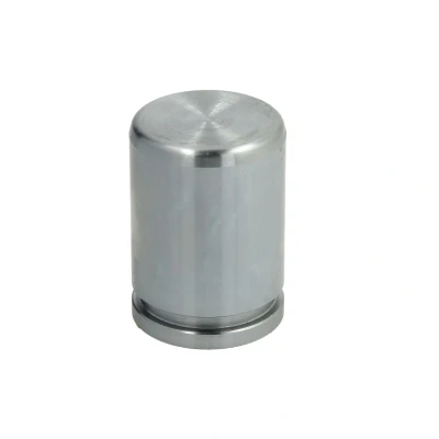 Bild av Kolv, bromsok AUTOFREN SEINSA D025550