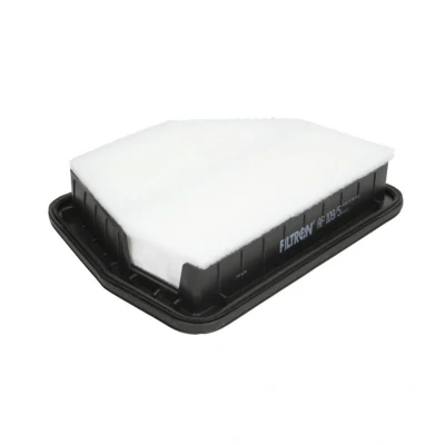 Bild av Luftfilter FILTRON AP 109/5