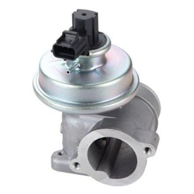 Bild av Agr Ventil MAGNETI MARELLI 571822112109