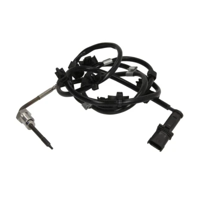 Bild av Sensor, avgastemperatur DELPHI TS30244