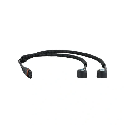 Bild av DELPHI AS10238 Capteur de cognement BMW: 3 Berline, 1 5 portes, Berline