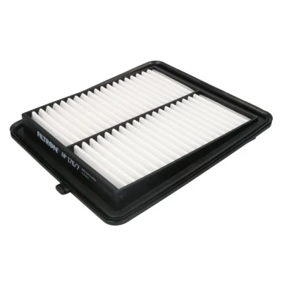 Bild av Luftfilter FILTRON AP 176/7