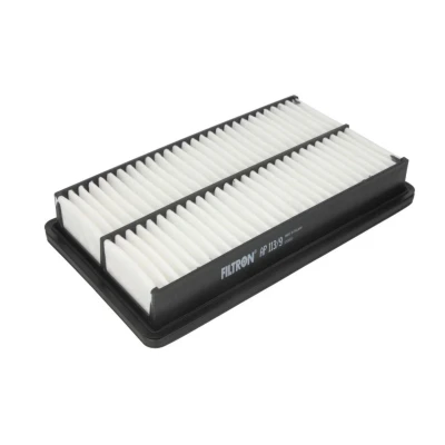 Bild av Luftfilter FILTRON AP 113/9