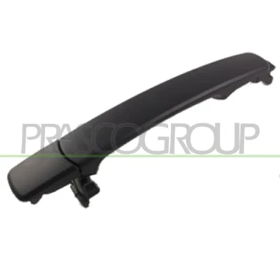 Bild av PRASCO DS8328113 Poignée De Porte extérieur, arrière droite avec couche d&#039;apprêt NISSAN: Qashqai / Qashqai+2 I, X Trail